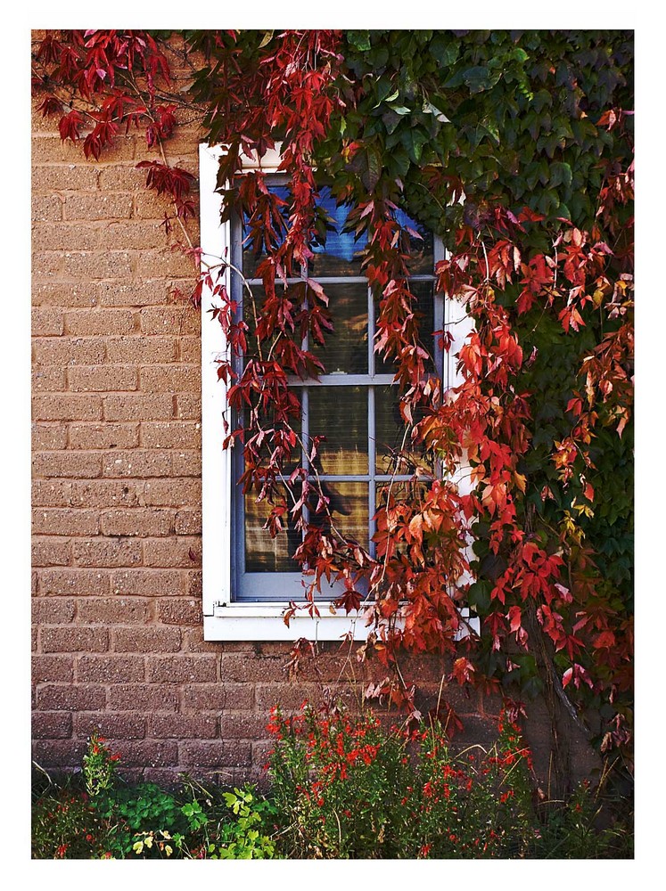 Fensterschmuck