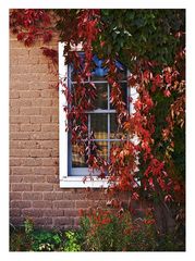 Fensterschmuck