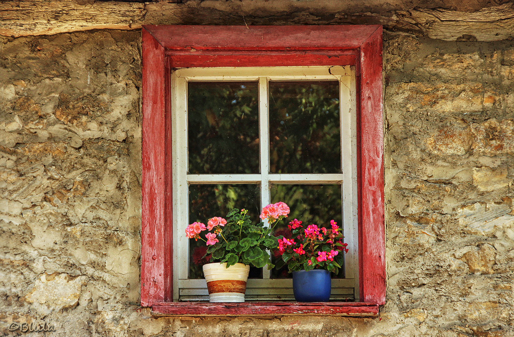 Fensterschmuck Foto &amp; Bild fenster, stillleben, haus