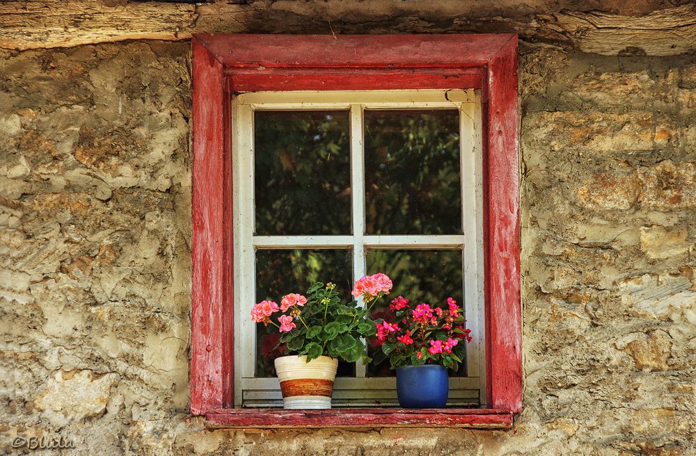 Fensterschmuck Foto &amp; Bild fenster, stillleben, haus