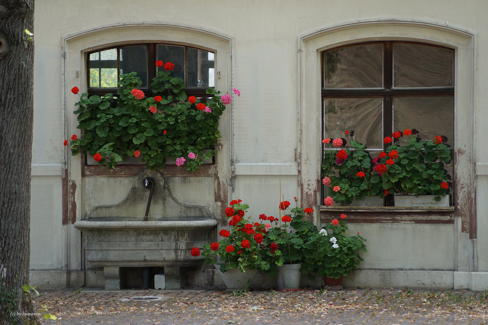 Fensterschmuck... 