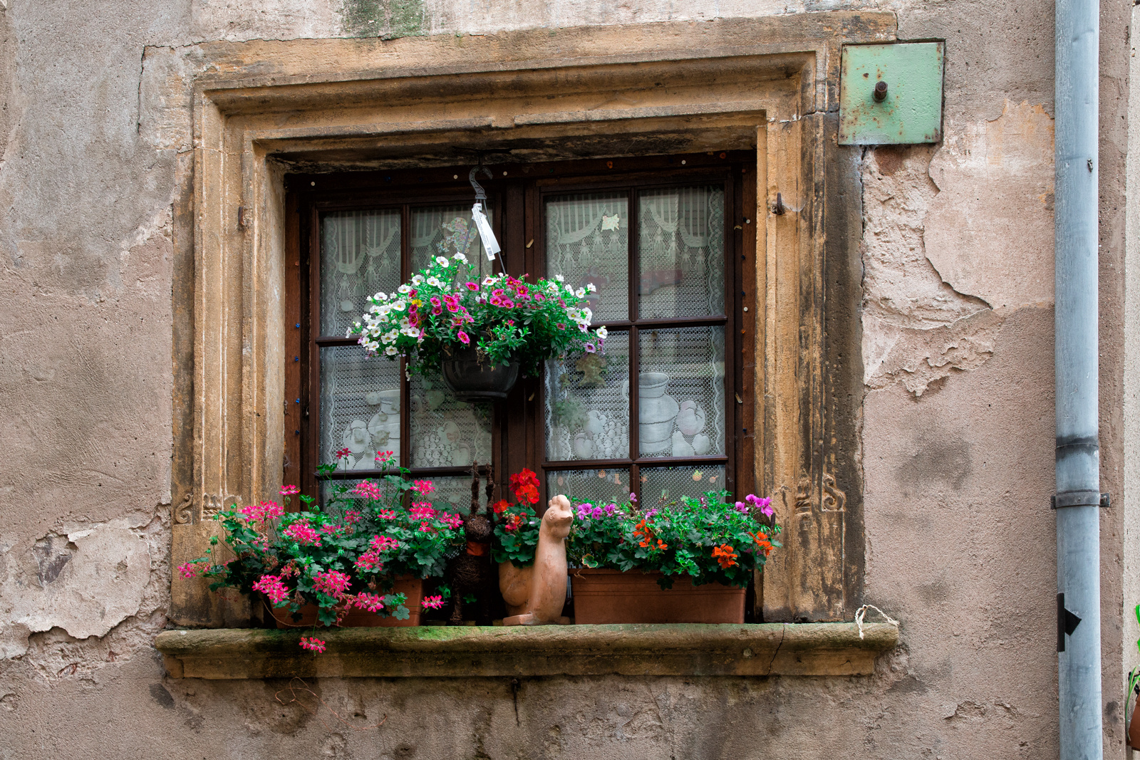 Fensterschmuck