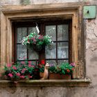 Fensterschmuck