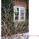 Fensterschmuck