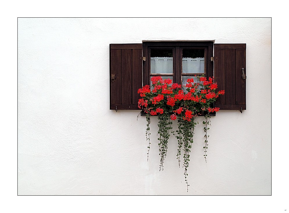 Fensterschmuck