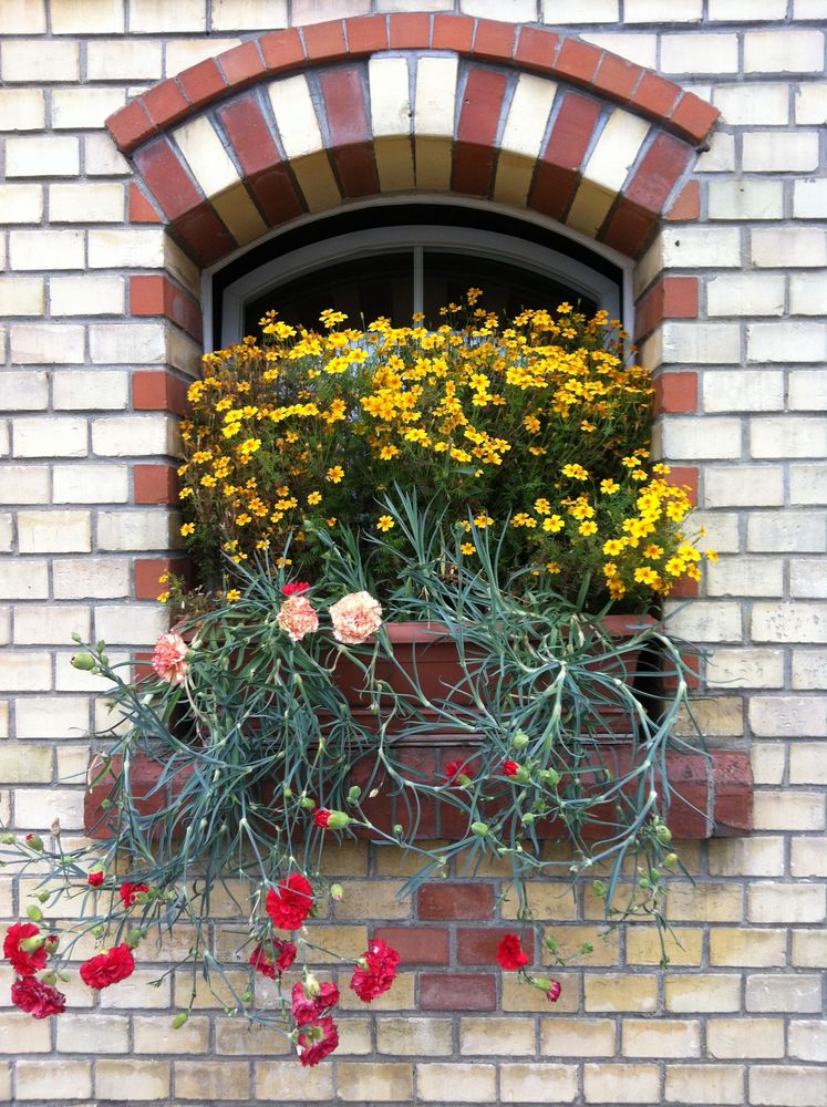 Fensterschmuck