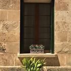 Fensterschmuck in Alcudia