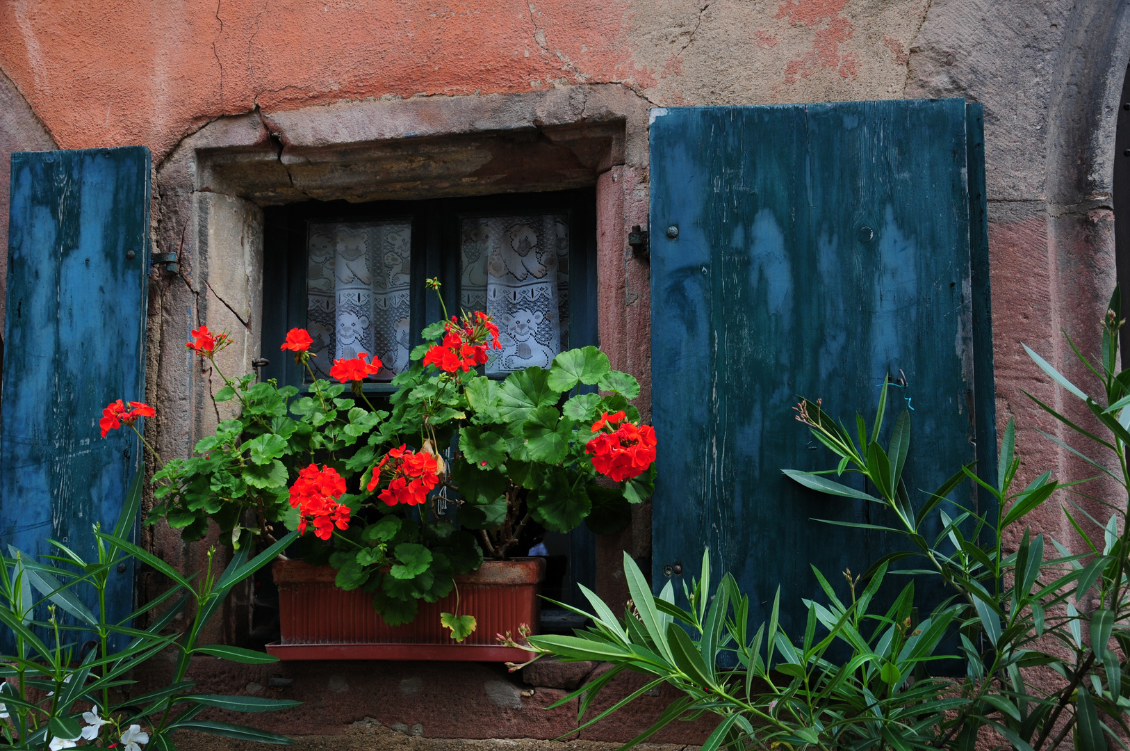 Fensterschmuck in Riquewihr