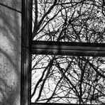 Fensterspiegelung