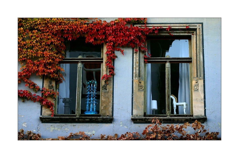 ° fenstertheater - künstlerisch