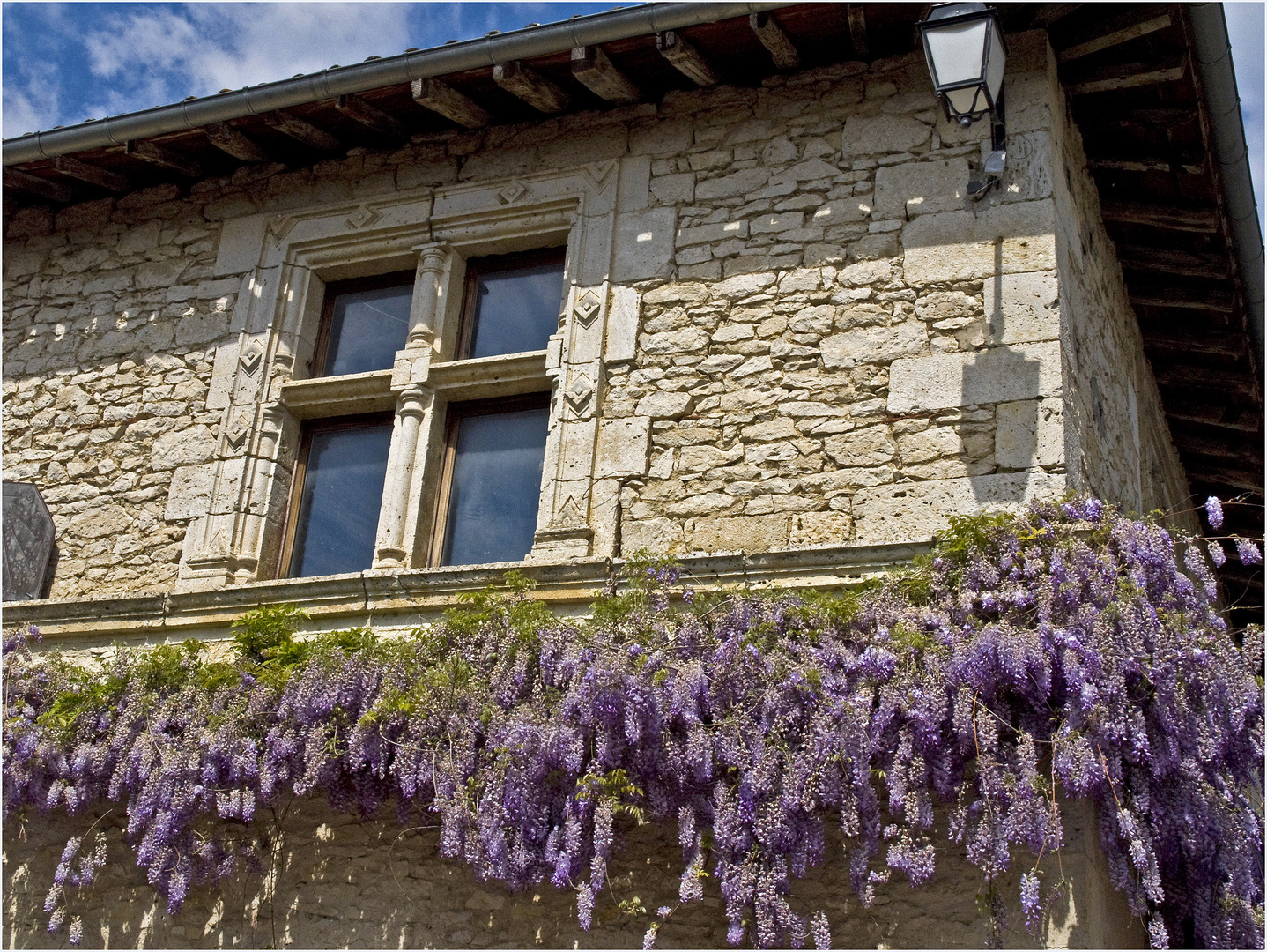 Fenêtre à meneaux et glycine