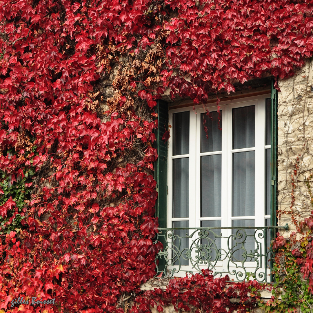 fenêtre en automne