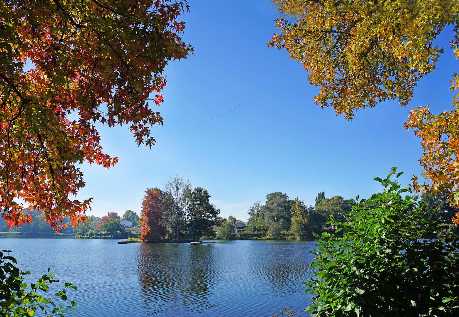 Fenêtre ouverte sur le lac