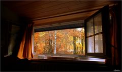 Fenêtre sur automne
