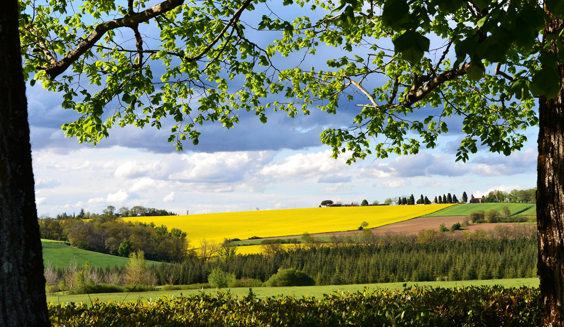 Fenêtre sur champ