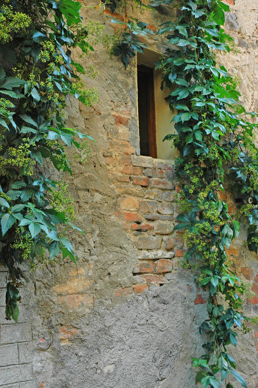 Fenêtre sur cour