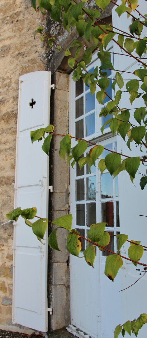 Fenêtre sur cour