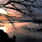 Fenêtre sur la brume