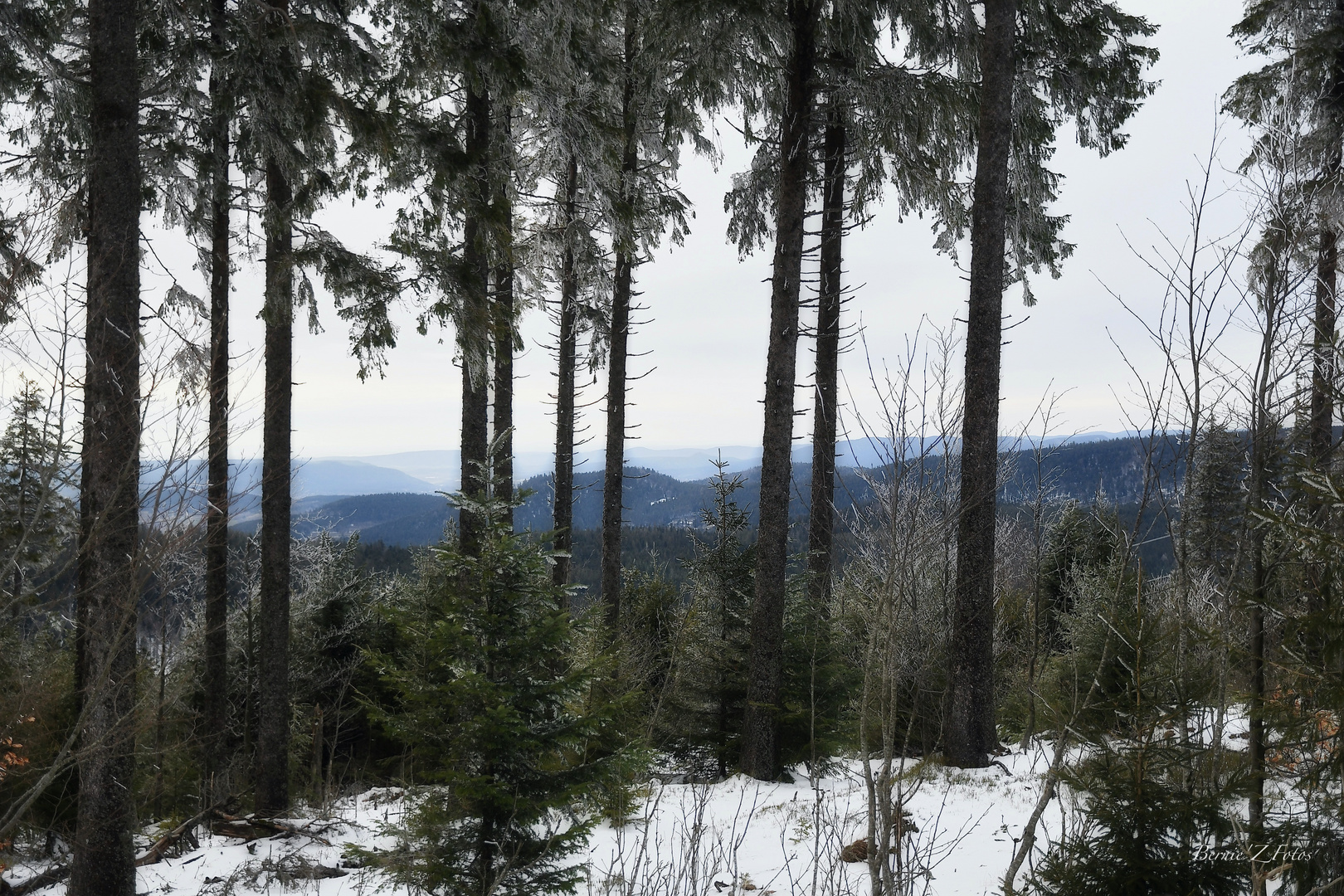 Fenêtre sur la ligne bleue des Vosges