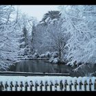 fenêtre sur la mare du Jardin Massey