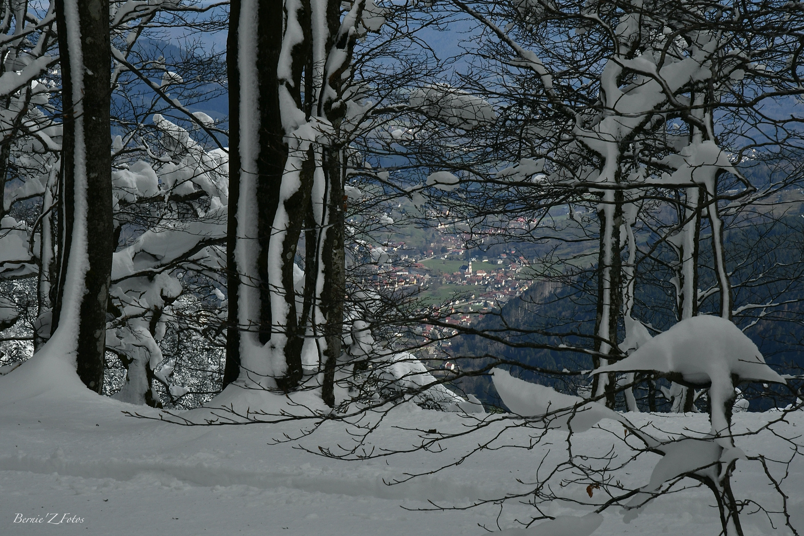 Fenêtre sur la Vallée de Munster