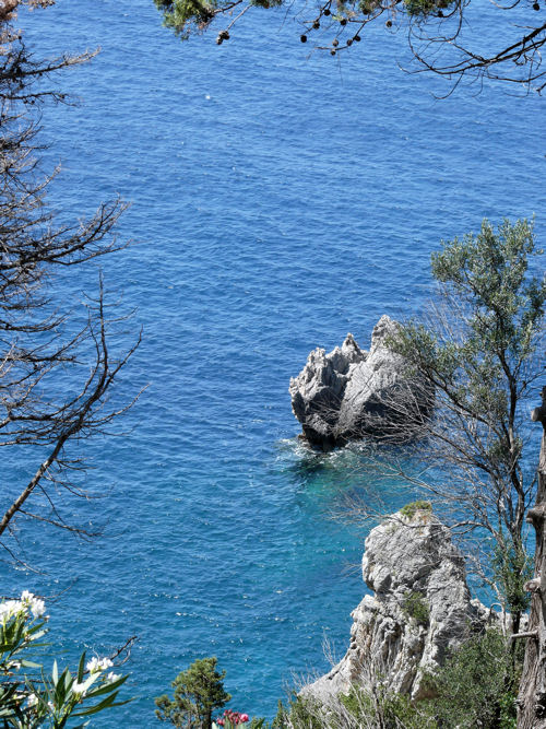 fenêtre végétale sur mer méditerranée