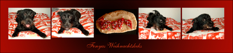 FENYAs Weihnachtskeks