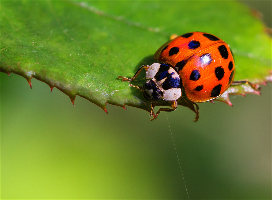 Fera-t-il beau dimanche ?