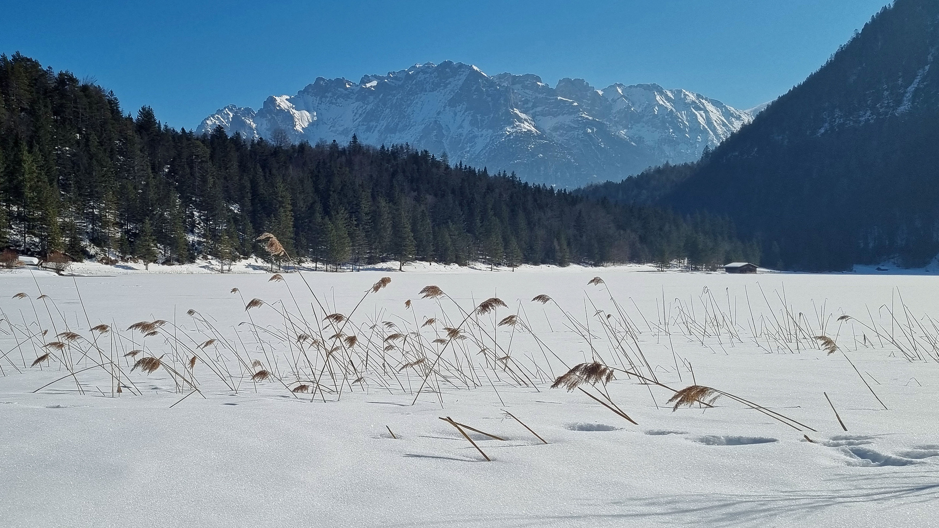 Ferchensee