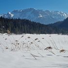 Ferchensee