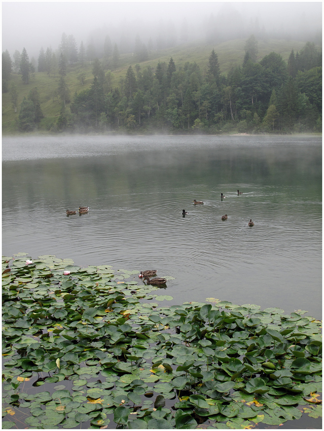 Ferchensee in Wolken