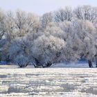 Ferchland - Elbe