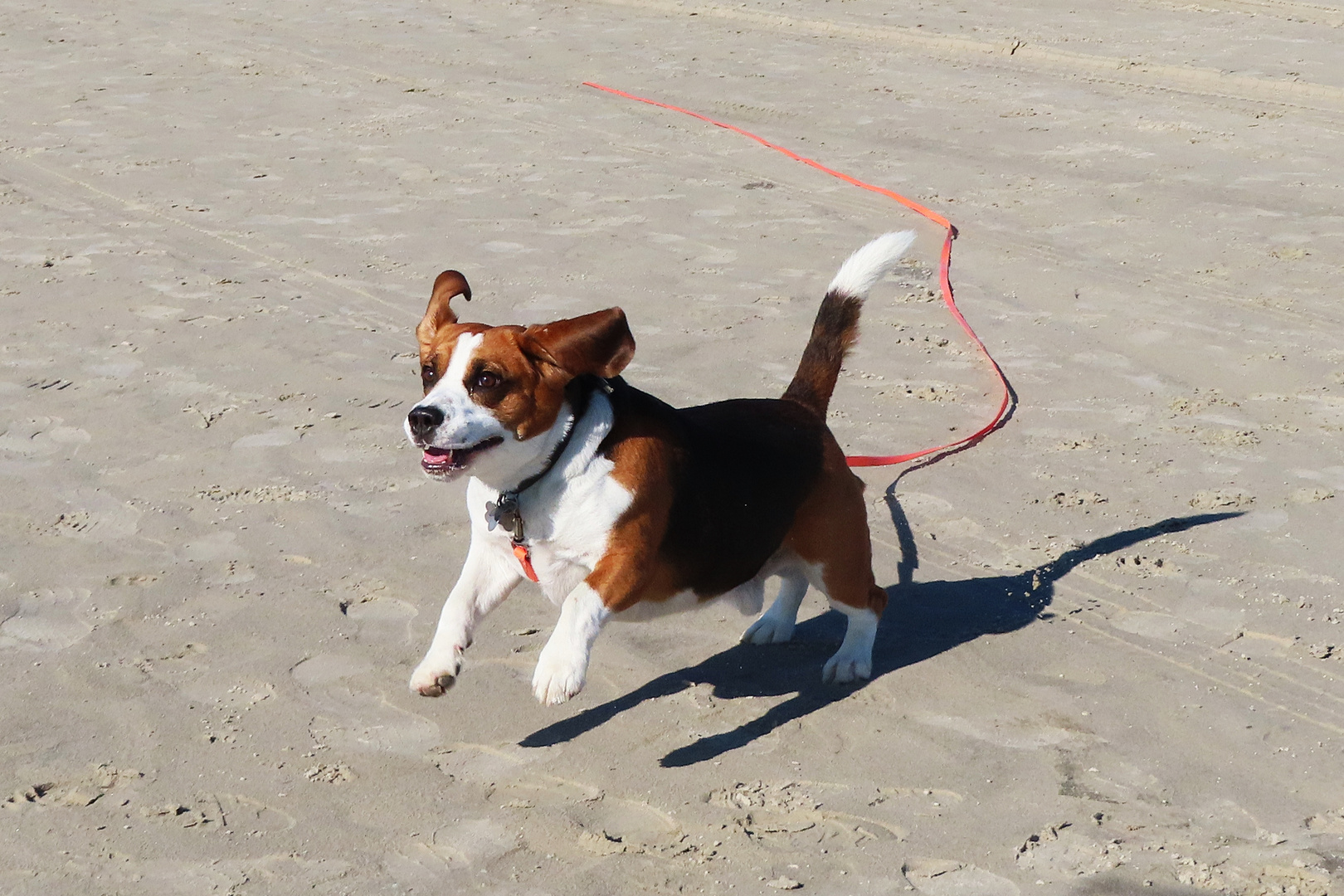 Ferdi am Strand von SPO