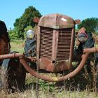 Ferguson im Medoc 2013