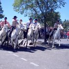 Féria d'Alès .....