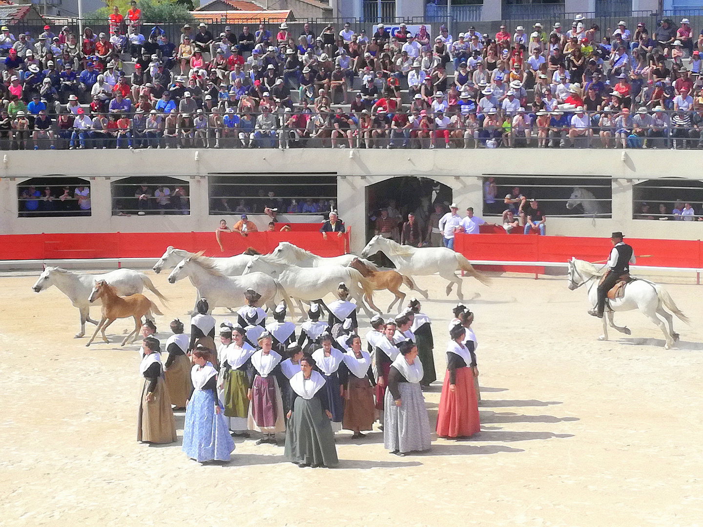 Féria d'Alès ...