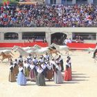 Féria d'Alès ...