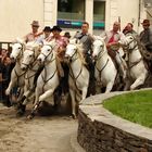 Féria d'Alès ...