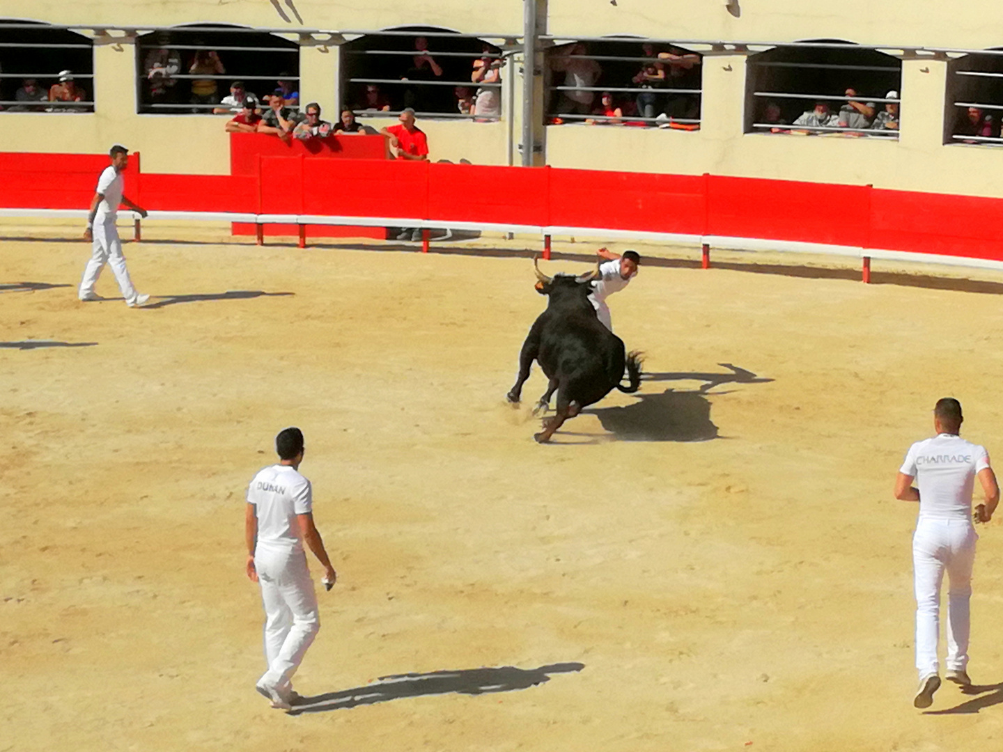 Féria d'Alès ...