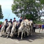 Féria d'Alès ...