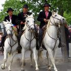 Féria d'Alès : l'Abrivado !!