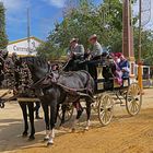 Feria del Caballo di Jerez, Spagna