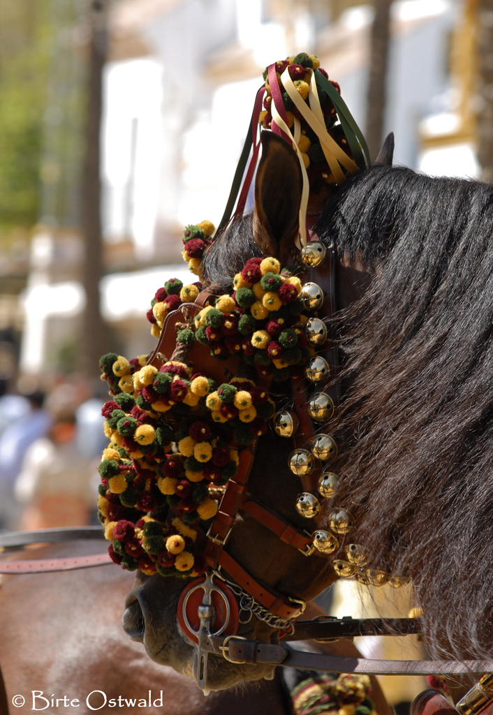 Feria del Caballo Jerez de la Frontera 2009