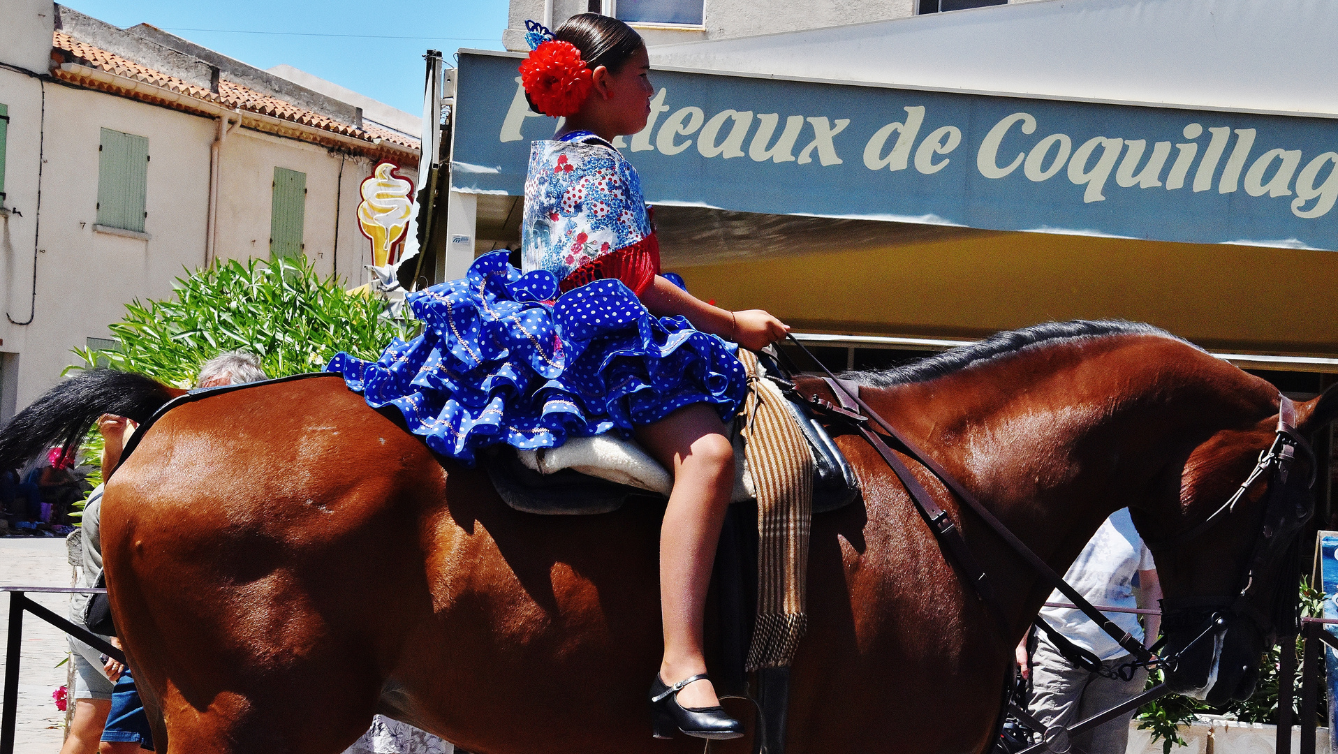 Féria du cheval !