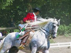 Feria im Adamstal