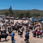 feria pecuaria en San Marcos Cajamarca