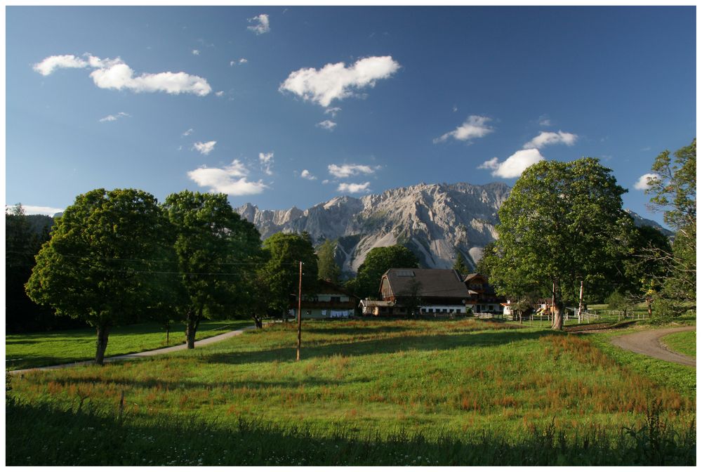 Ferien am Bauernhof