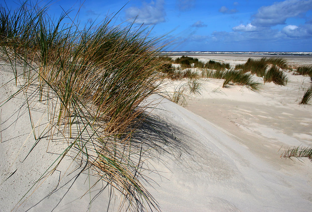 Ferien am Meer