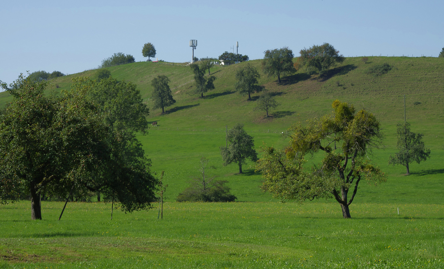 Ferien auf dem Bauernhof