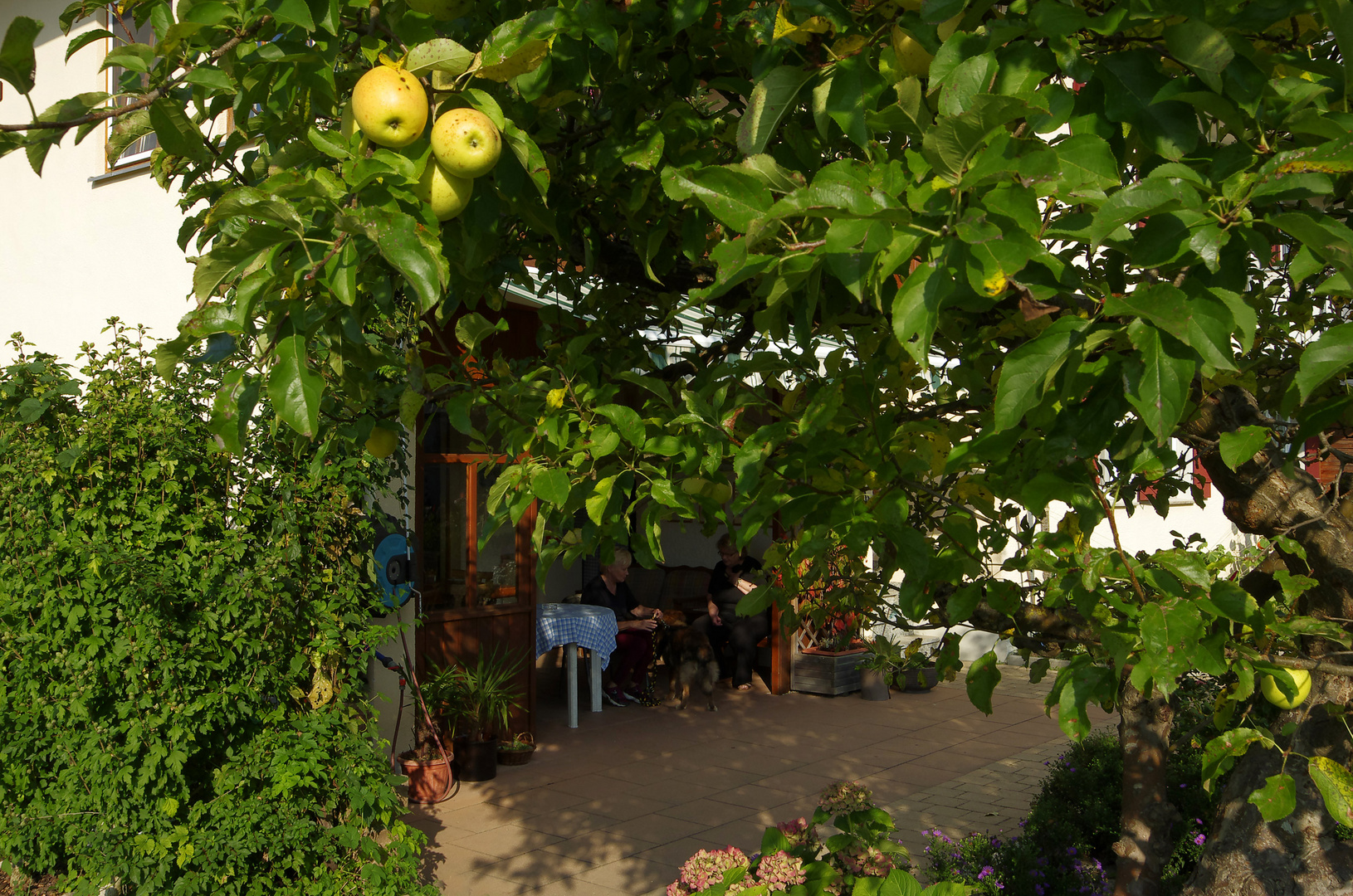 Ferien auf dem Bauernhof